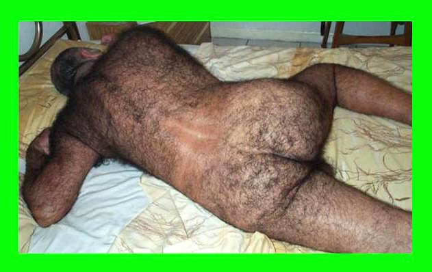 http://laughwithresearchowl.files.wordpress.com/2006/07/hairy-man.jpg